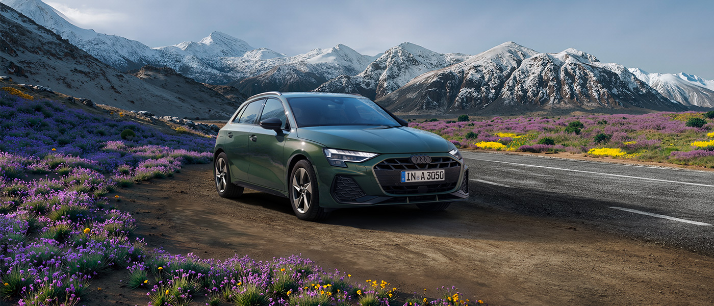 Audi Privacy Statement